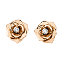 Medium Rose Gold Diamond Earrings