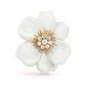 Rose de Noël Clip Large Model in 18K Yellow Gold with Mother-of-Pearl and Diamonds