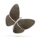 Butterfly Clip in 18K White Gold with Gray Mother-of-Pearl and Diamond