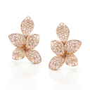 Five Leaves Small Earrings in Rose Gold
