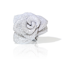 Rosina Ring in White Gold