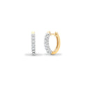 9ct And Yellow Gold Natural Diamond Earrings