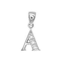 9P052- | 9ct White Gold Natural Set Initial Pendant -Initial