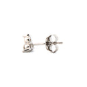 925 Silver Rhodium Plated Cubic Zirconia Set Studs
