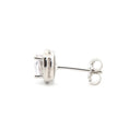 925 Silver Rhodium Plated Cubic Zirconia Set Studs