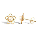 9ct Yellow Gold Stud Earrings