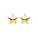 9ct Yellow Gold Star Studs