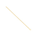 14ct Yellow Gold Hollow Oval Puff Marine 3.6mm Chain