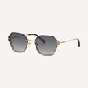 Red Carpet Sunglasses Belle Vante Shiny Rose Gold