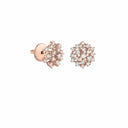 Belle Vante Pink Gold and Diamonds Earrings 0.67 Ct.