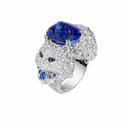 Belle Vante Wladimir, the Cat ring