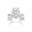 Belle Vante Amour d'Aigrette Solitaire Ring Platinum Diamond 3cts