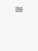 Belle Vante Small Flap Bag Fringed Sequins & Gold-Tone Metal