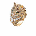 Belle Vante Wladimir, the Cat ring