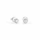 Belle Vante White Gold and Diamonds Earrings