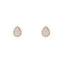 Serpent Bohème Earstuds XS Motif