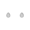 Serpent Bohème Ear Studs XS Motif