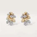 Belle Vante Grain de Café Semi-Paved Earrings Yellow Gold Platinum